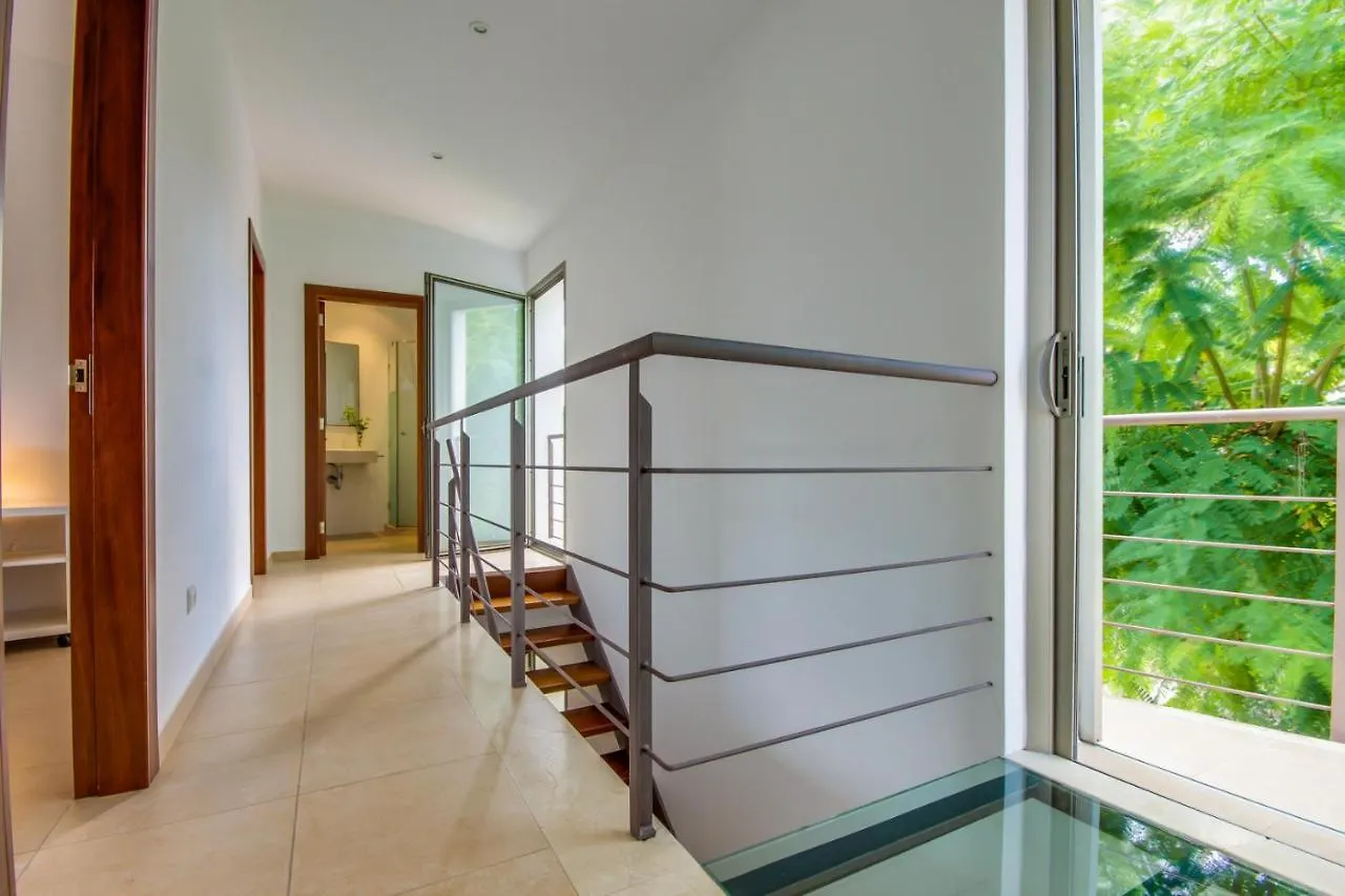 Ideal Property Mallorca - Casa Francina Playa de Muro  Playa de Muro (Mallorca)